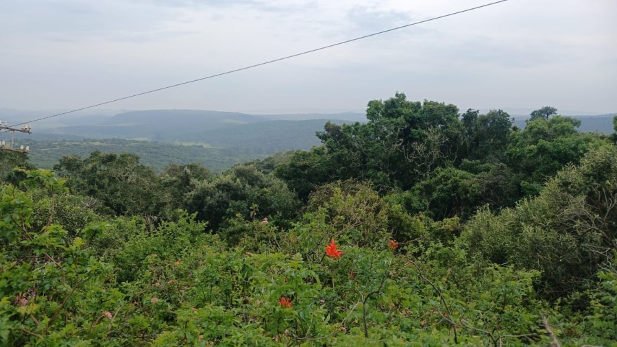 Commercial Property for Sale in Bathurst Rural Eastern Cape